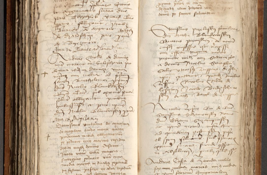 Zdjęcie nr 217 dla obiektu archiwalnego: [Acta obligationum officialia coram Johanne de Pniow]