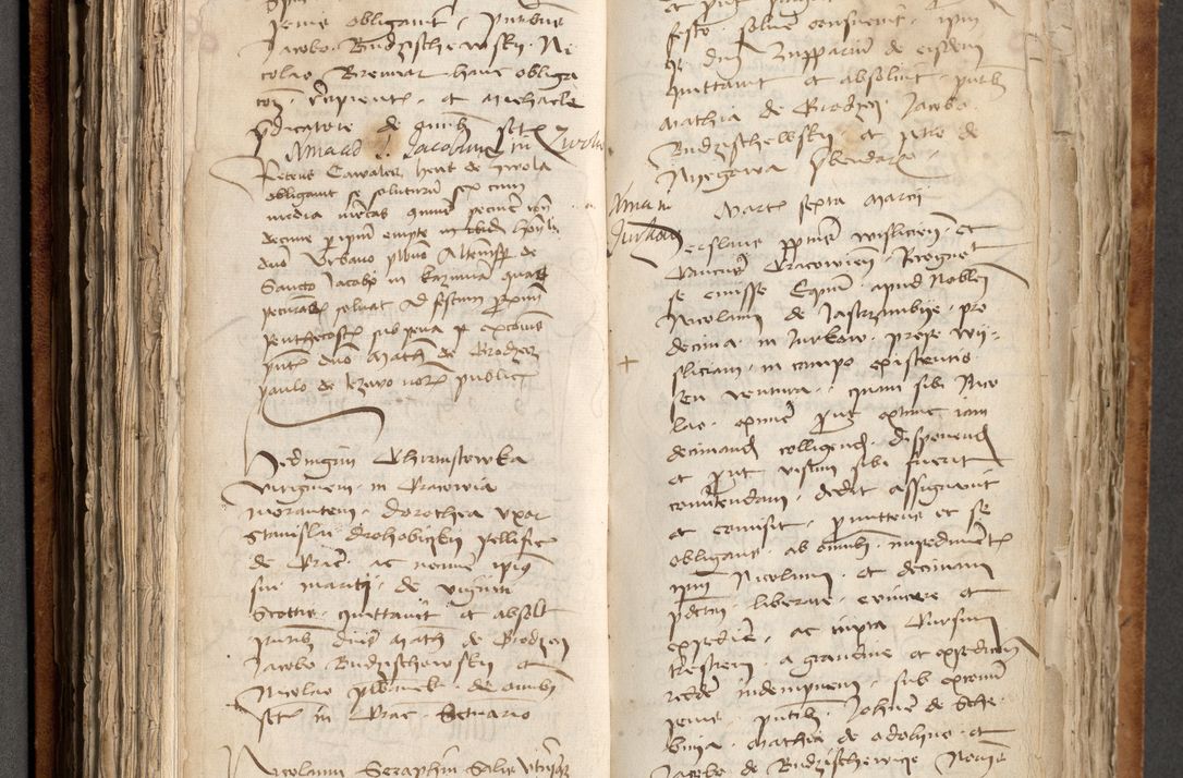 Zdjęcie nr 204 dla obiektu archiwalnego: [Acta obligationum officialia coram Johanne de Pniow]