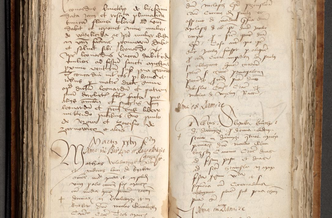 Zdjęcie nr 201 dla obiektu archiwalnego: [Acta obligationum officialia coram Johanne de Pniow]