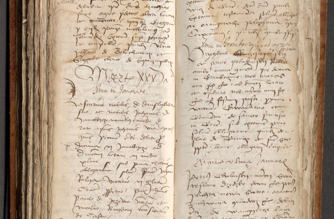 Zdjęcie nr 189 dla obiektu archiwalnego: [Acta obligationum officialia coram Johanne de Pniow]