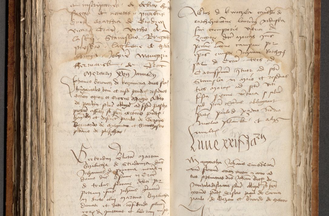 Zdjęcie nr 186 dla obiektu archiwalnego: [Acta obligationum officialia coram Johanne de Pniow]