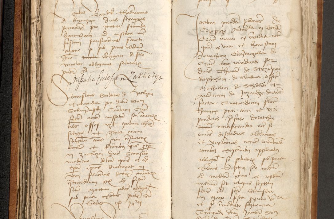 Zdjęcie nr 110 dla obiektu archiwalnego: [Acta obligationum officialia coram Johanne de Pniow]