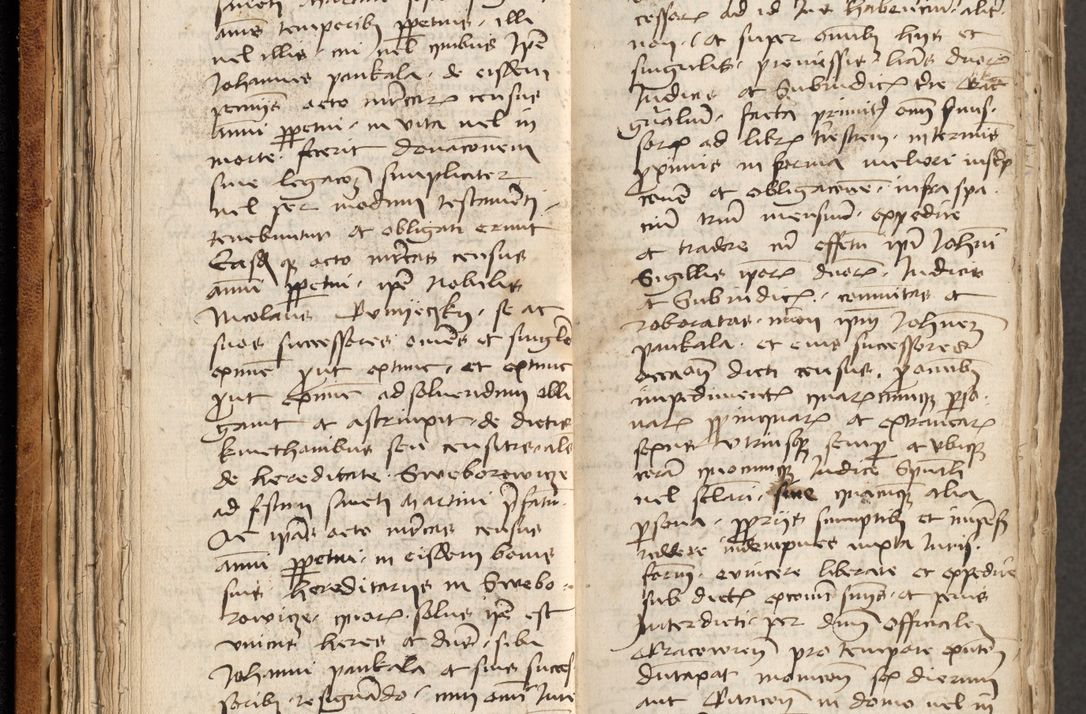 Zdjęcie nr 50 dla obiektu archiwalnego: [Acta obligationum officialia coram Johanne de Pniow]