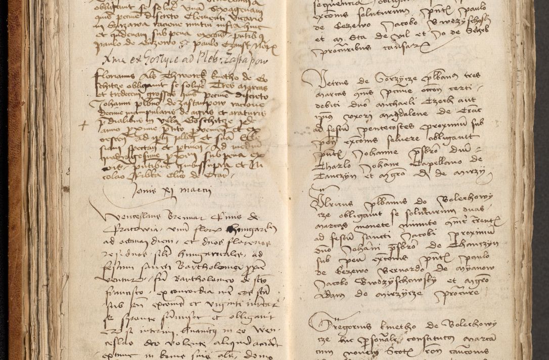 Zdjęcie nr 47 dla obiektu archiwalnego: [Acta obligationum officialia coram Johanne de Pniow]