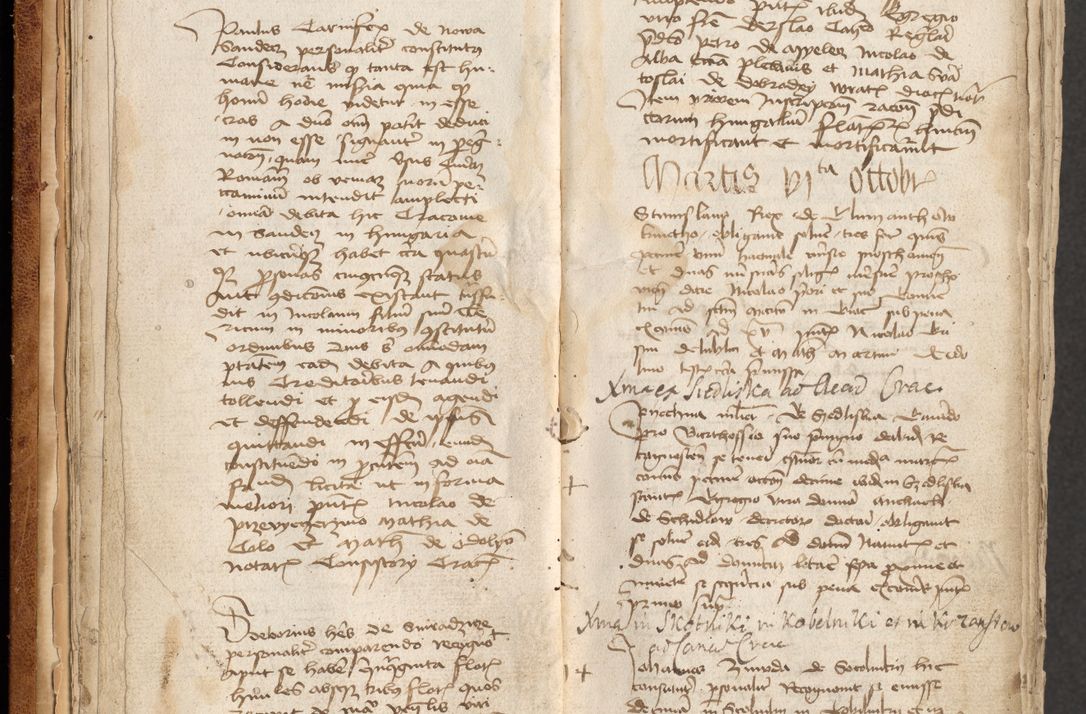 Zdjęcie nr 16 dla obiektu archiwalnego: [Acta obligationum officialia coram Johanne de Pniow]