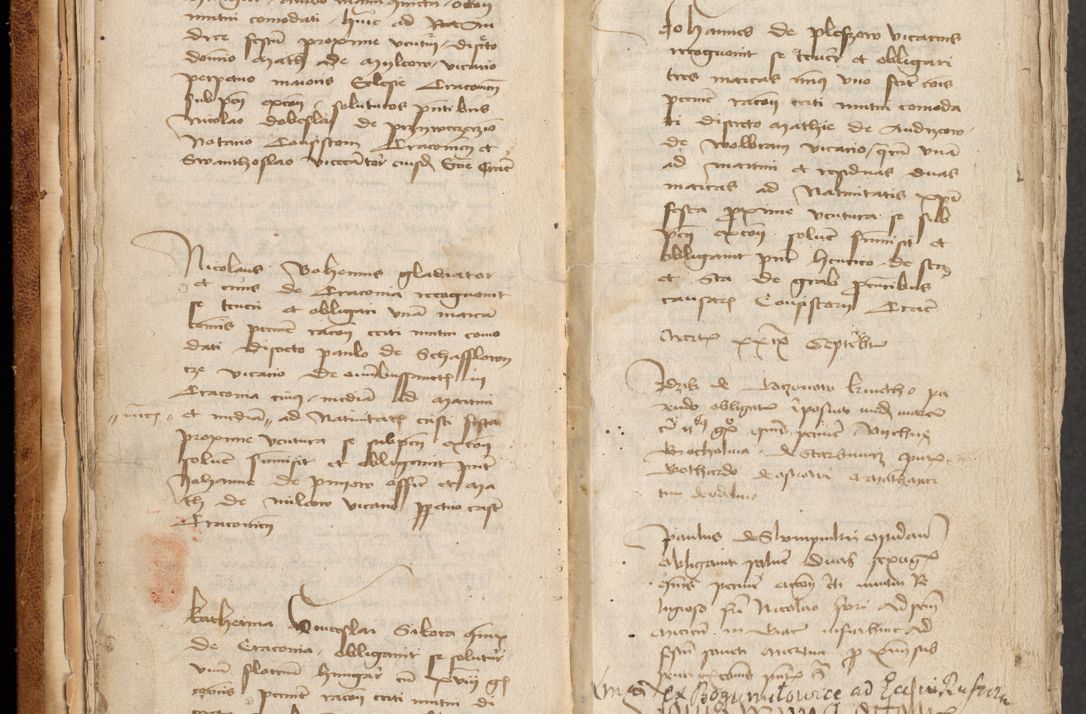 Zdjęcie nr 13 dla obiektu archiwalnego: [Acta obligationum officialia coram Johanne de Pniow]