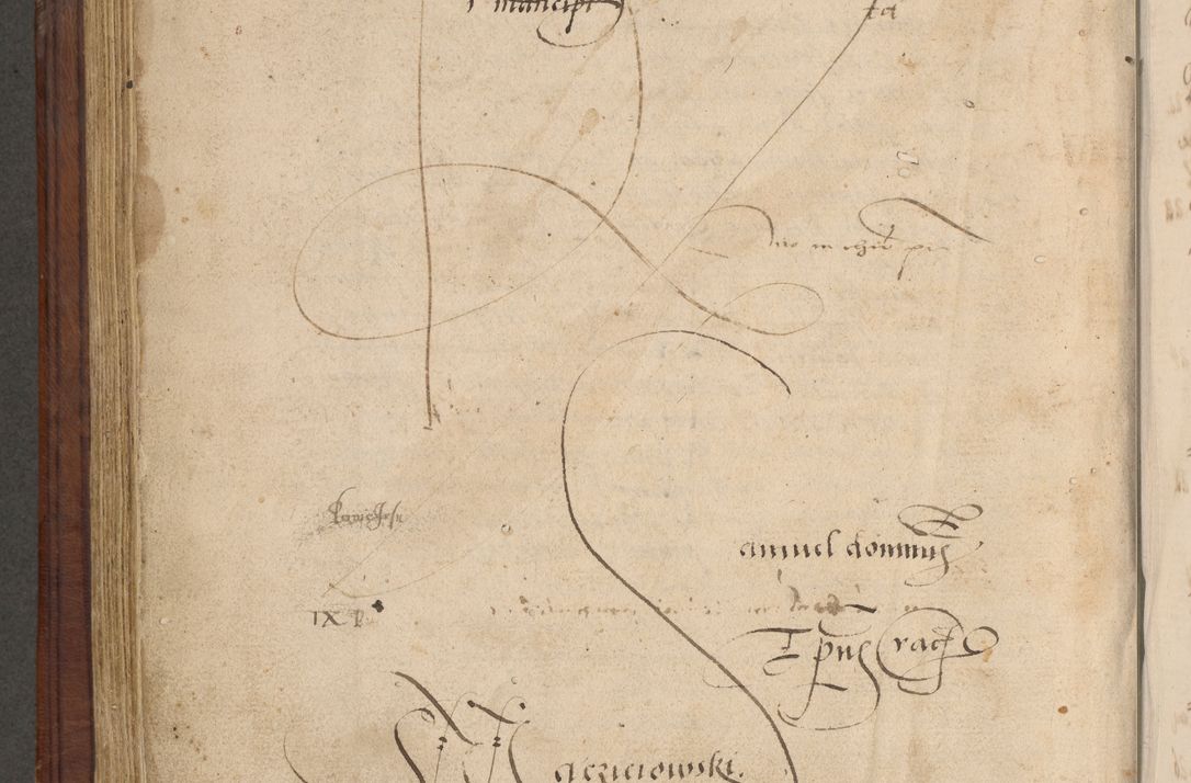 Zdjęcie nr 487 dla obiektu archiwalnego: [Acta obligationum officialia coram Raphaele de Skawina]