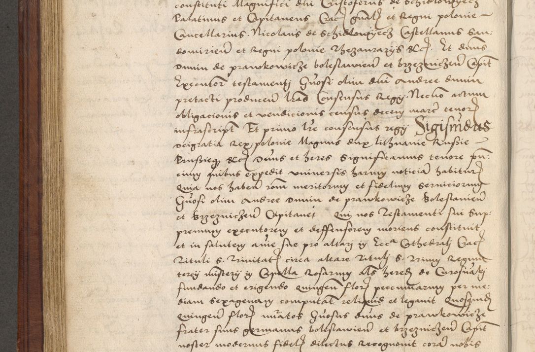 Zdjęcie nr 445 dla obiektu archiwalnego: [Acta obligationum officialia coram Raphaele de Skawina]