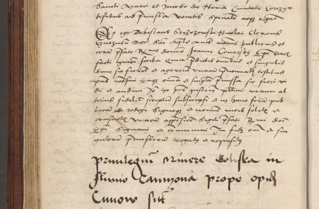 Zdjęcie nr 315 dla obiektu archiwalnego: [Acta obligationum officialia coram Raphaele de Skawina]