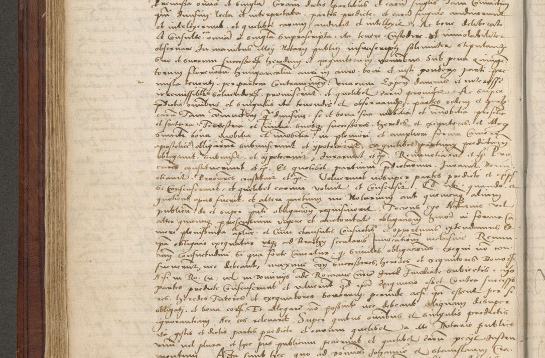 Zdjęcie nr 295 dla obiektu archiwalnego: [Acta obligationum officialia coram Raphaele de Skawina]