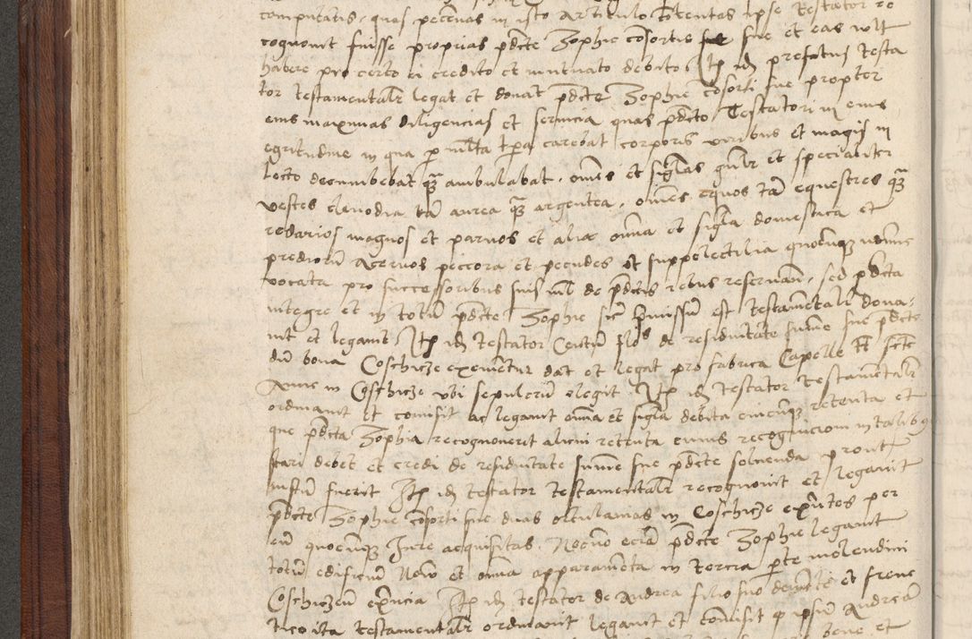 Zdjęcie nr 211 dla obiektu archiwalnego: [Acta obligationum officialia coram Raphaele de Skawina]