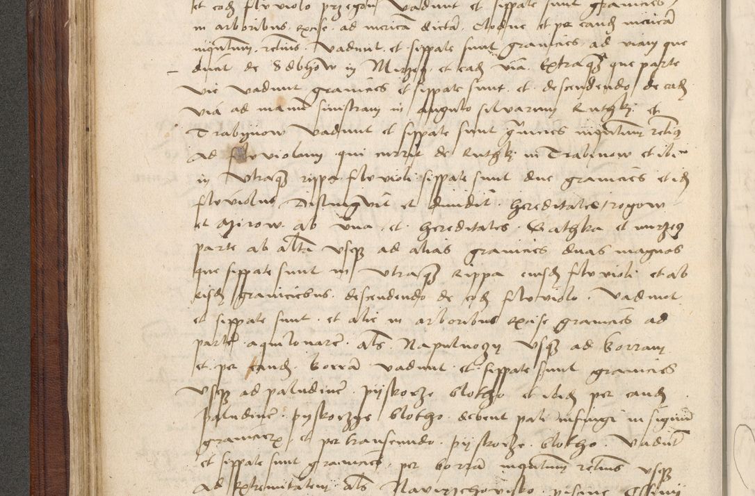 Zdjęcie nr 135 dla obiektu archiwalnego: [Acta obligationum officialia coram Raphaele de Skawina]