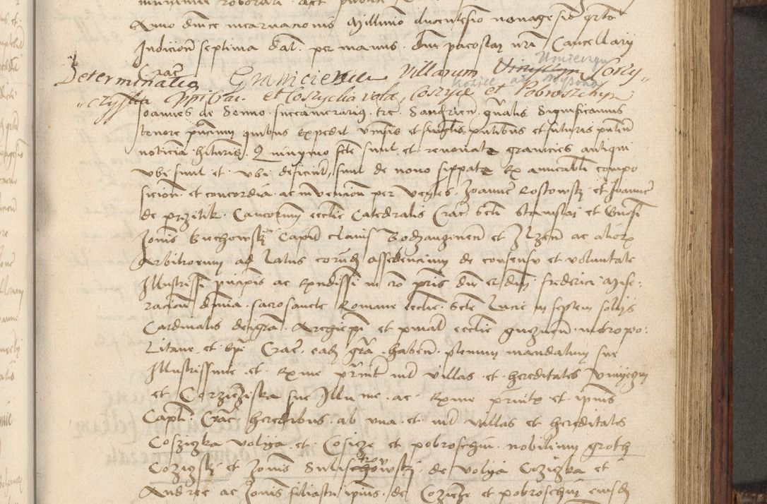 Zdjęcie nr 116 dla obiektu archiwalnego: [Acta obligationum officialia coram Raphaele de Skawina]