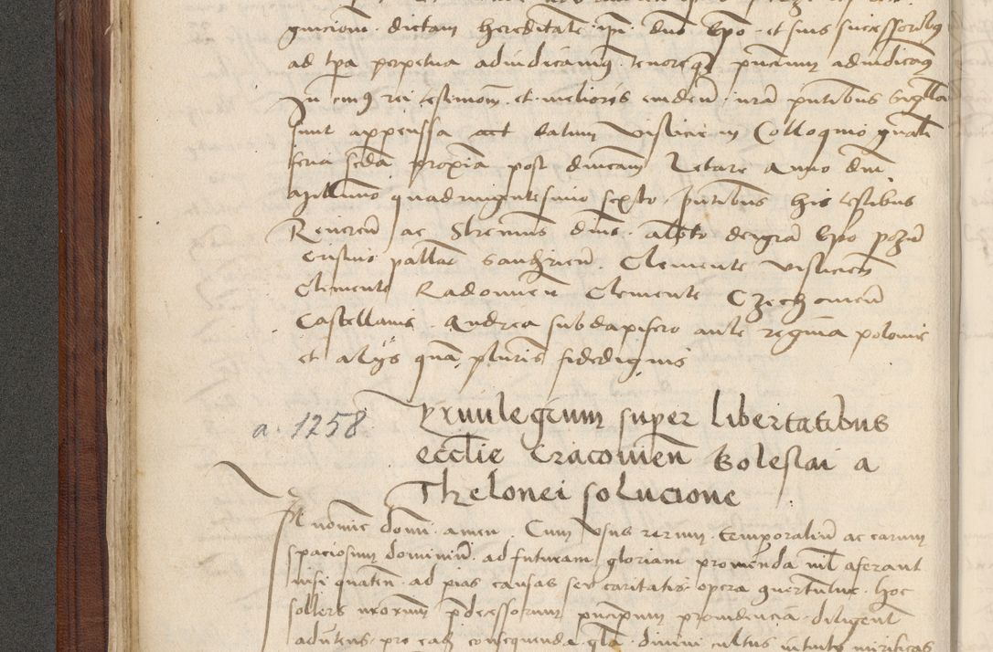 Zdjęcie nr 87 dla obiektu archiwalnego: [Acta obligationum officialia coram Raphaele de Skawina]