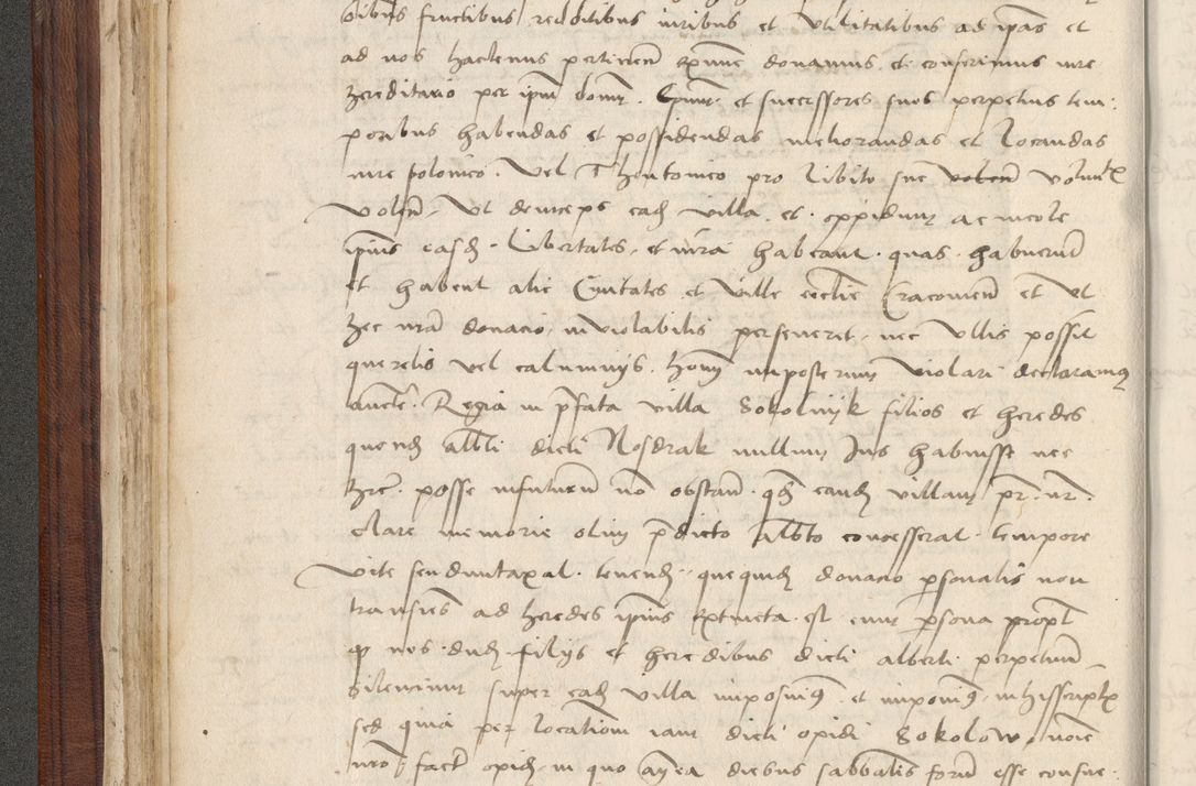 Zdjęcie nr 73 dla obiektu archiwalnego: [Acta obligationum officialia coram Raphaele de Skawina]