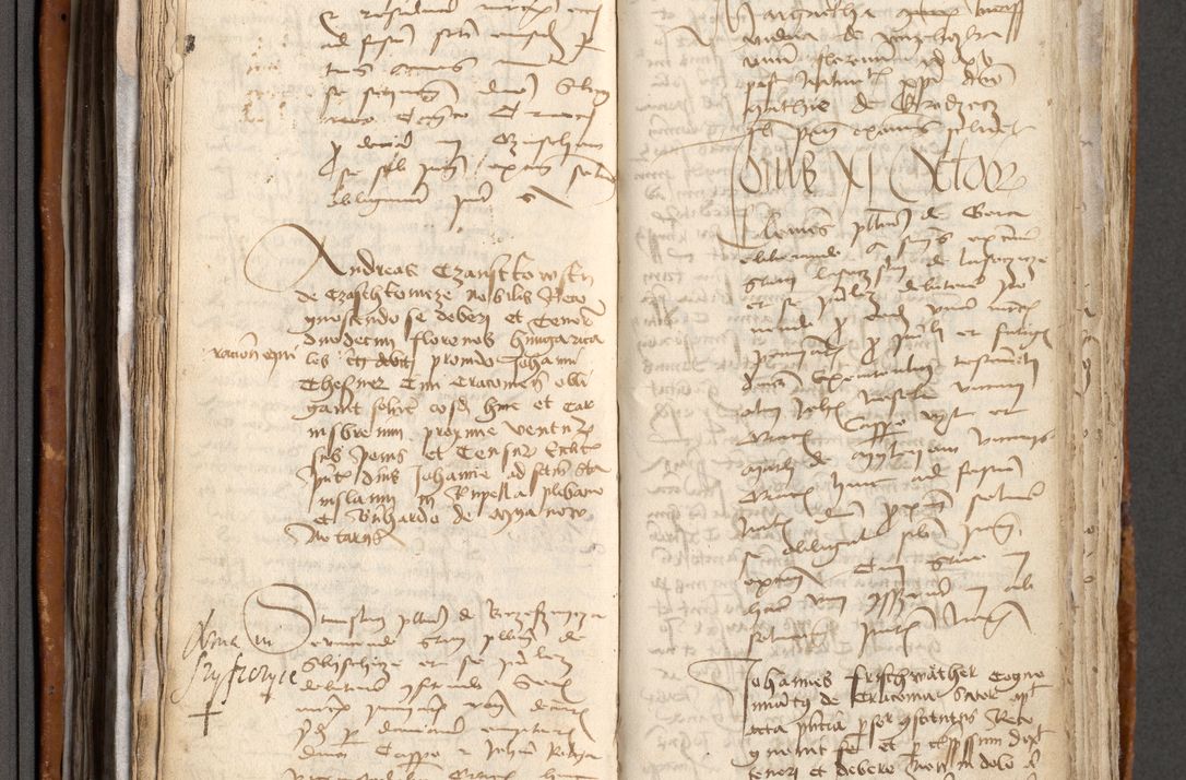 Zdjęcie nr 195 dla obiektu archiwalnego: [Acta obligationum administratorialia coram Johanne de Pniow]