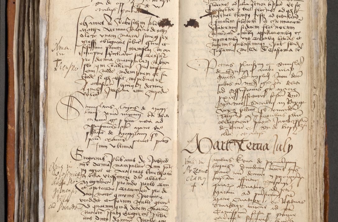 Zdjęcie nr 176 dla obiektu archiwalnego: [Acta obligationum administratorialia coram Johanne de Pniow]