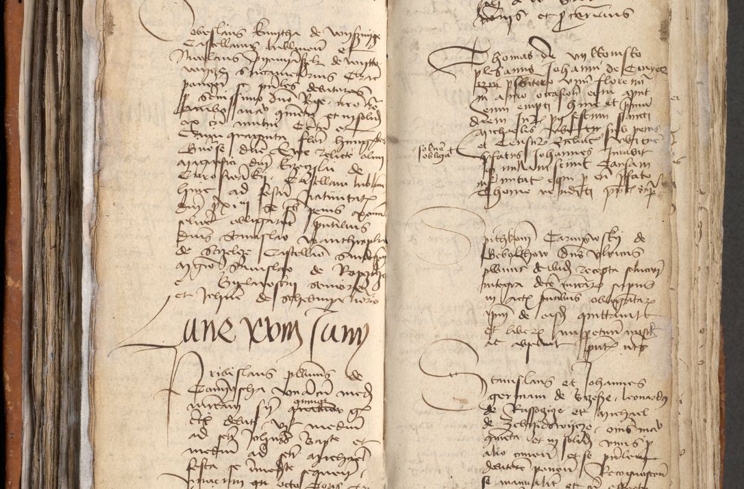 Zdjęcie nr 173 dla obiektu archiwalnego: [Acta obligationum administratorialia coram Johanne de Pniow]