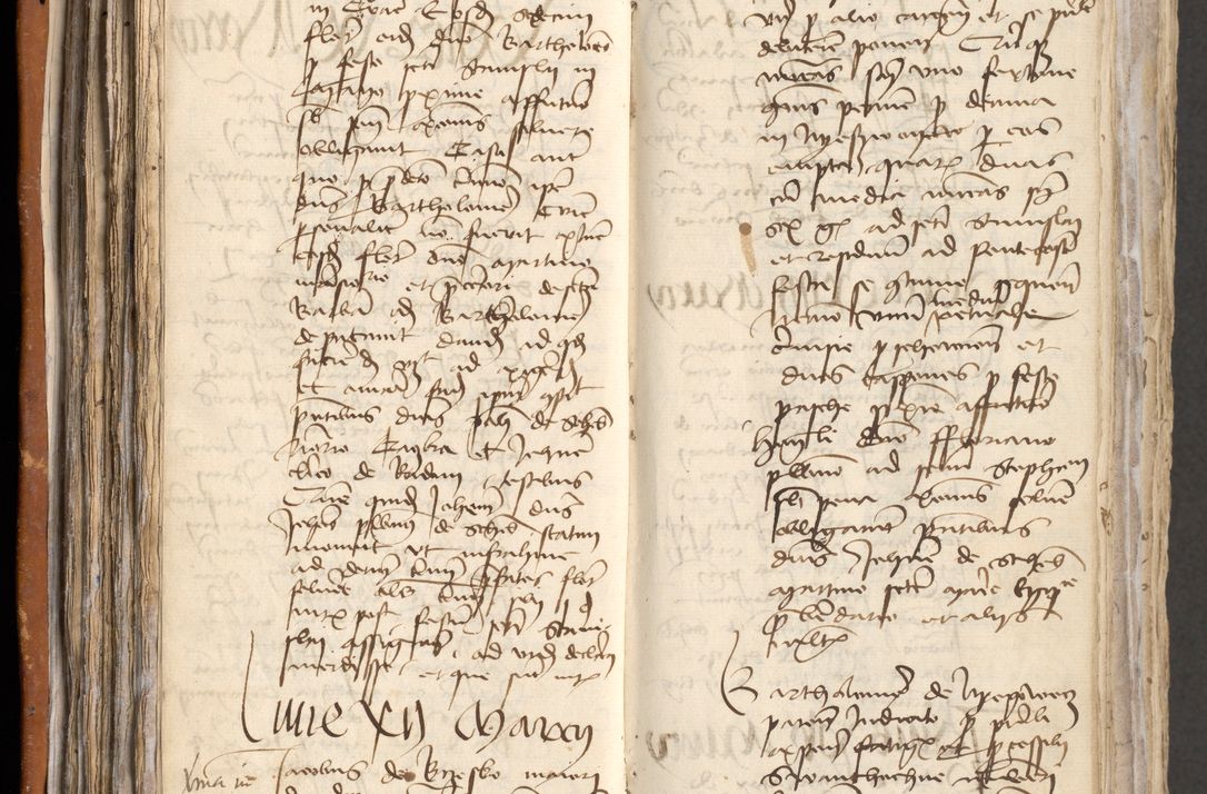 Zdjęcie nr 141 dla obiektu archiwalnego: [Acta obligationum administratorialia coram Johanne de Pniow]