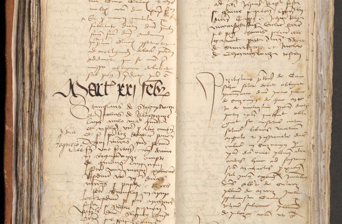 Zdjęcie nr 133 dla obiektu archiwalnego: [Acta obligationum administratorialia coram Johanne de Pniow]