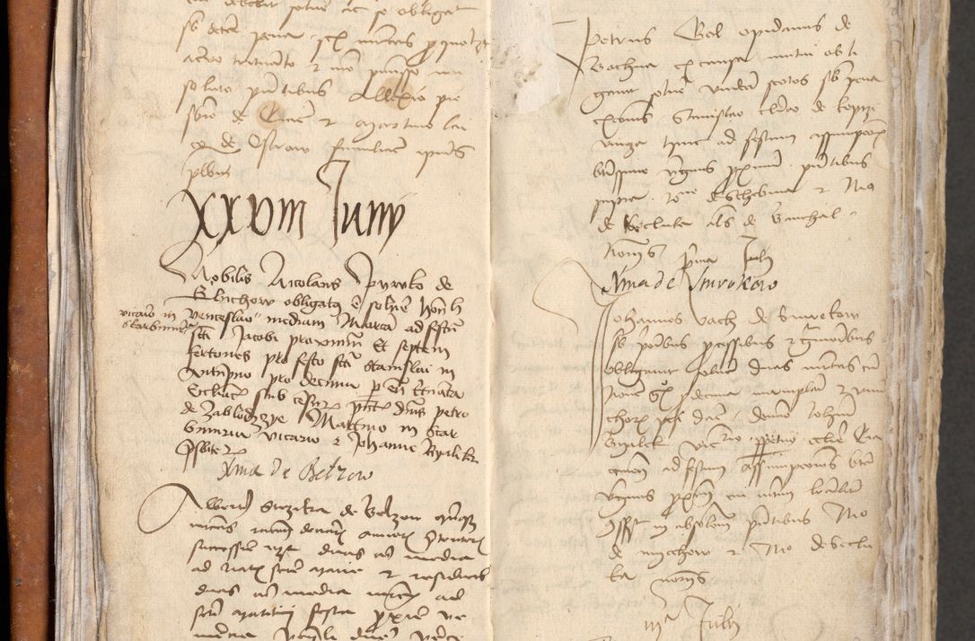 Zdjęcie nr 26 dla obiektu archiwalnego: [Acta obligationum administratorialia coram Johanne de Pniow]