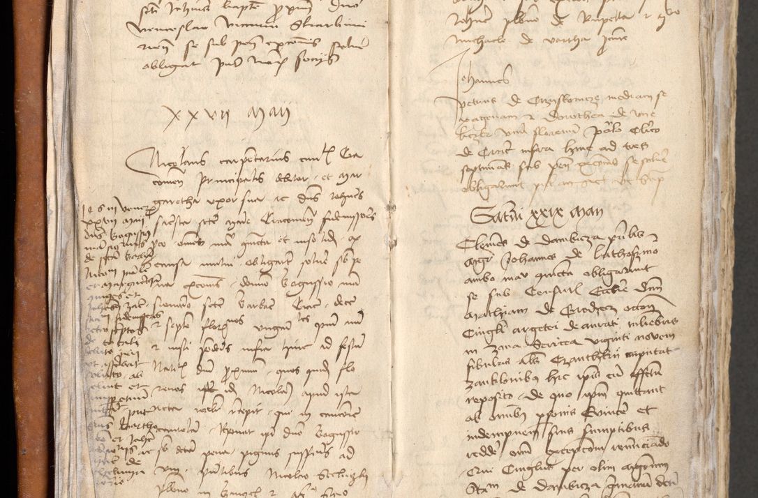 Zdjęcie nr 21 dla obiektu archiwalnego: [Acta obligationum administratorialia coram Johanne de Pniow]