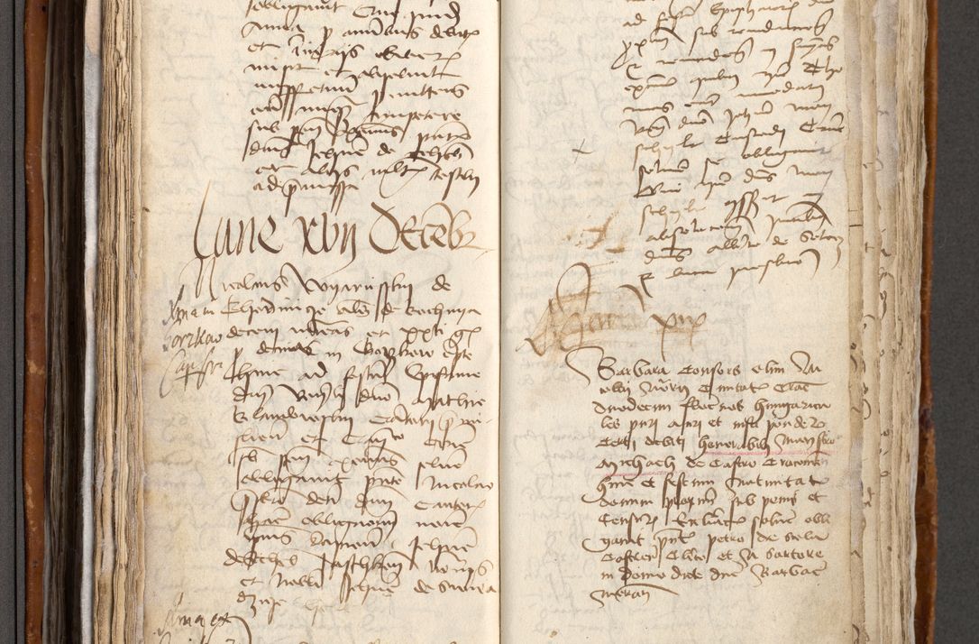 Zdjęcie nr 209 dla obiektu archiwalnego: [Acta obligationum administratorialia coram Johanne de Pniow]