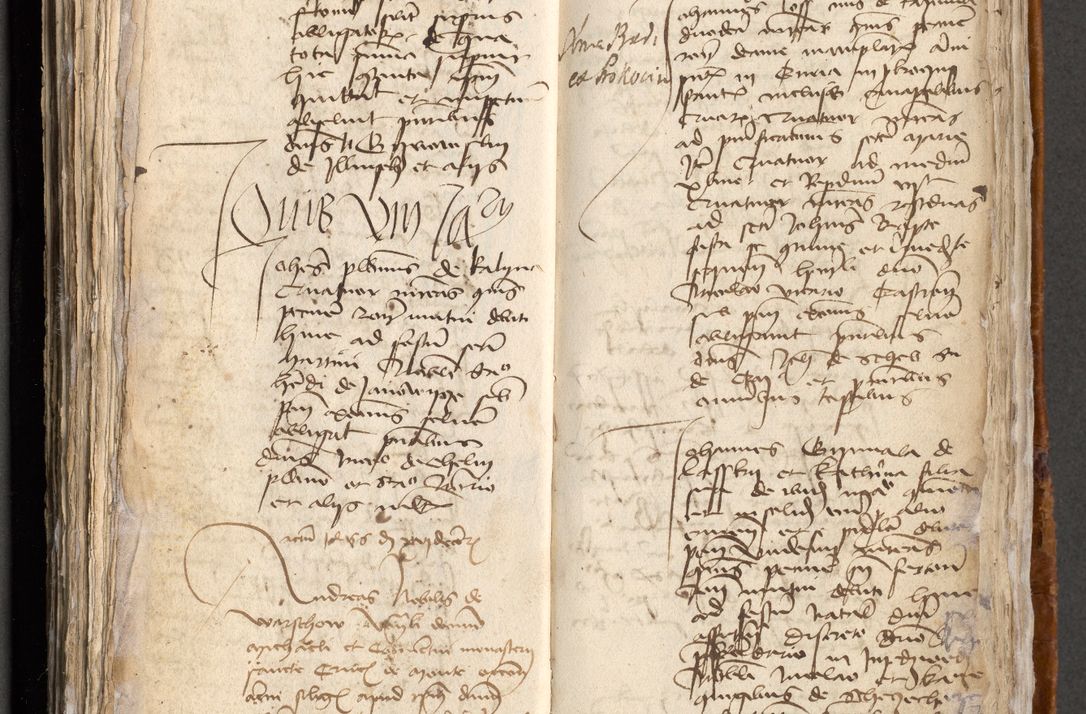 Zdjęcie nr 358 dla obiektu archiwalnego: [Acta obligationum administratorialia coram Johanne de Pniow]