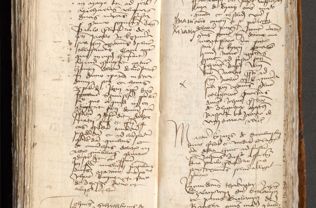 Zdjęcie nr 353 dla obiektu archiwalnego: [Acta obligationum administratorialia coram Johanne de Pniow]