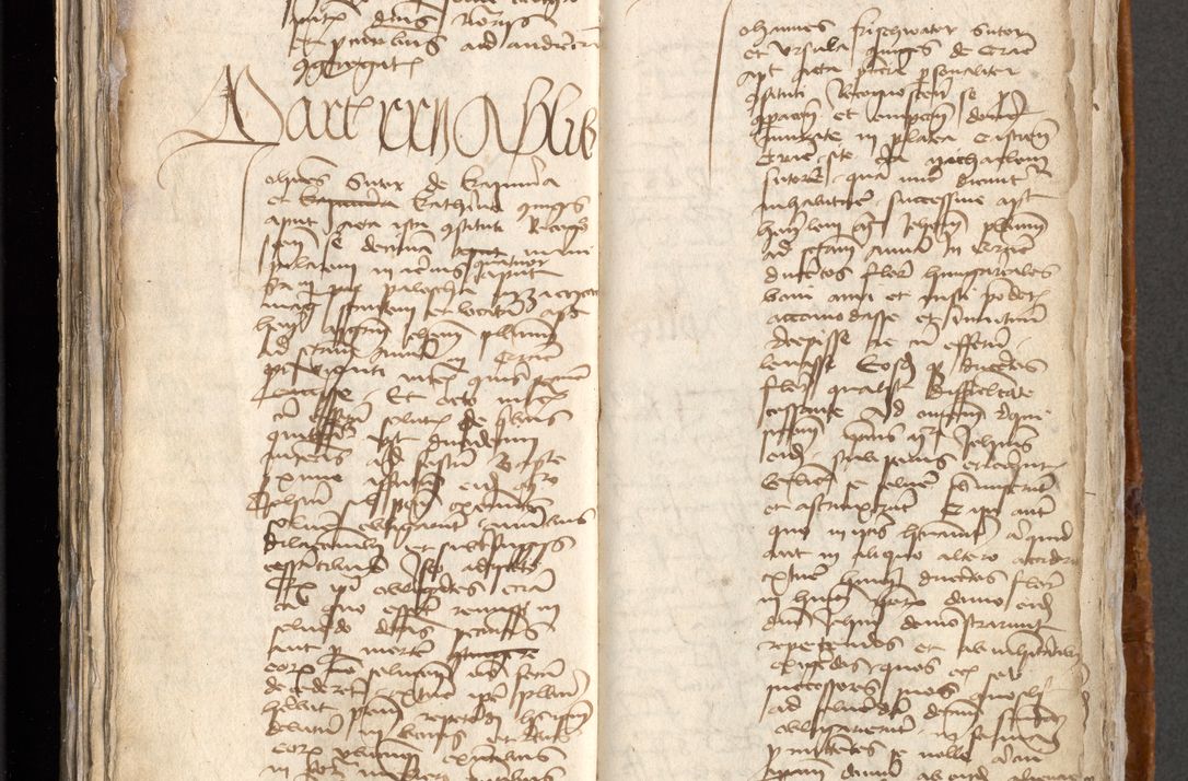 Zdjęcie nr 326 dla obiektu archiwalnego: [Acta obligationum administratorialia coram Johanne de Pniow]