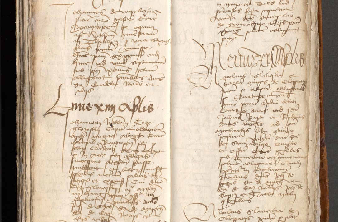 Zdjęcie nr 325 dla obiektu archiwalnego: [Acta obligationum administratorialia coram Johanne de Pniow]