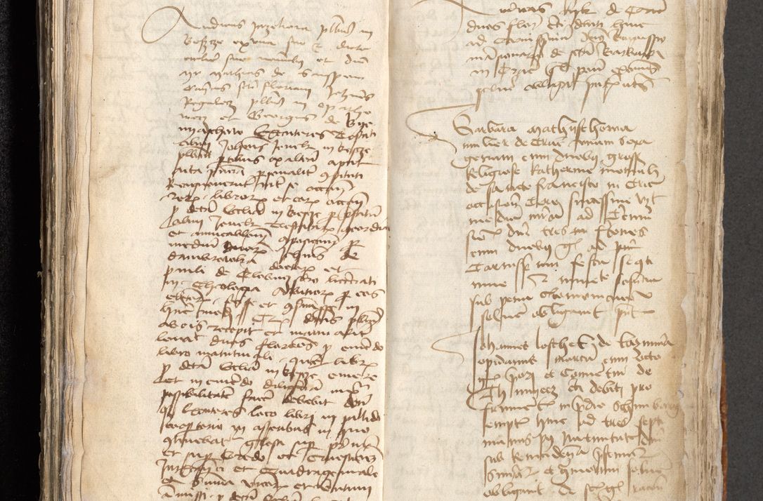 Zdjęcie nr 294 dla obiektu archiwalnego: [Acta obligationum administratorialia coram Johanne de Pniow]