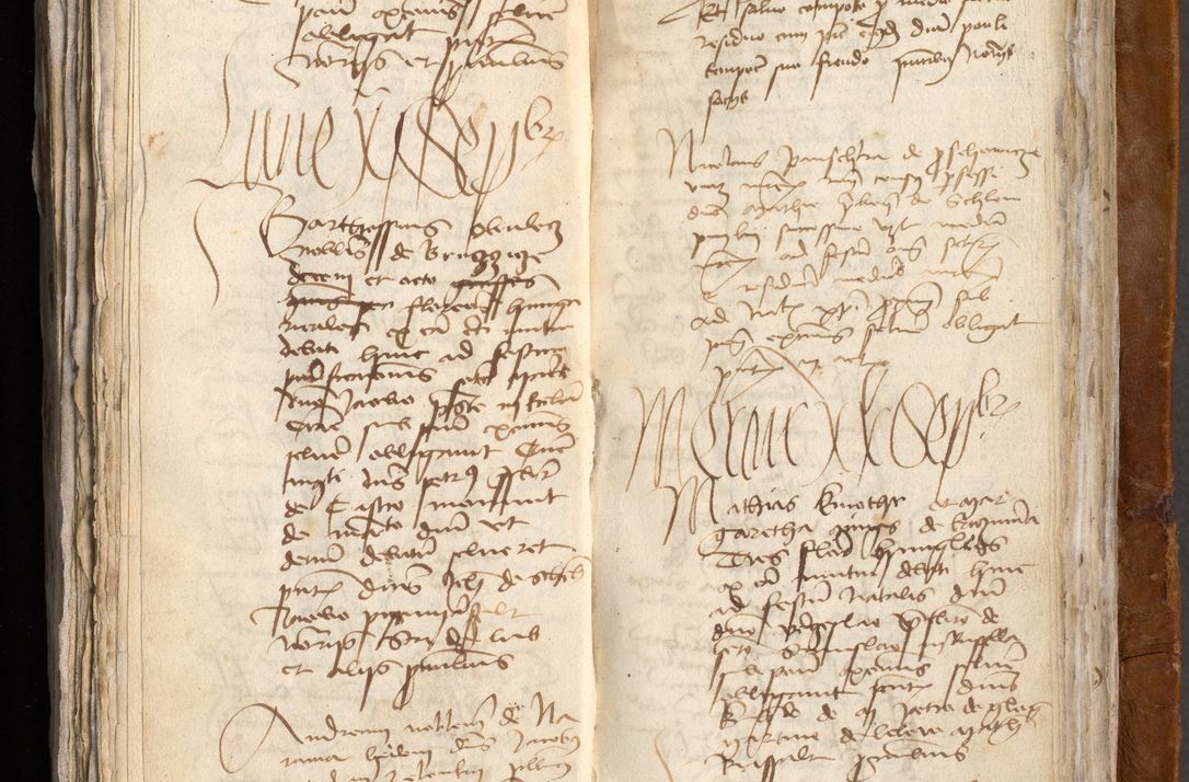 Zdjęcie nr 532 dla obiektu archiwalnego: [Acta obligationum administratorialia coram Johanne de Pniow]