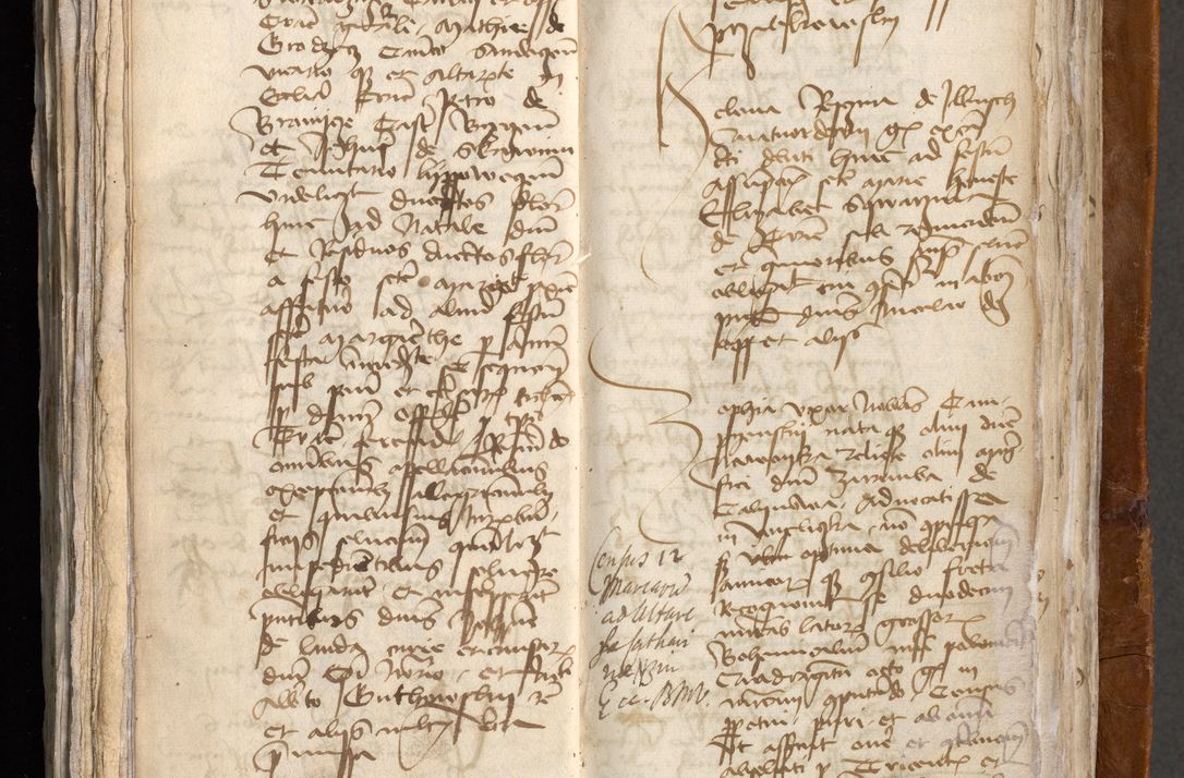 Zdjęcie nr 509 dla obiektu archiwalnego: [Acta obligationum administratorialia coram Johanne de Pniow]