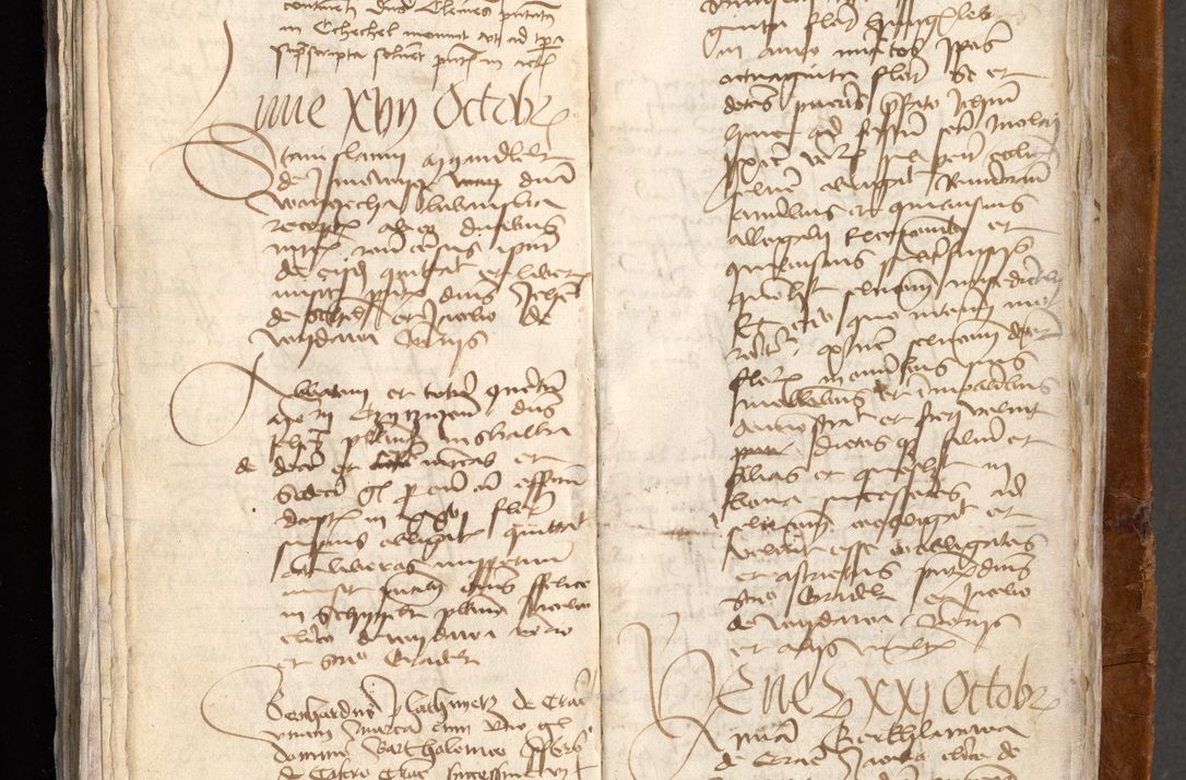 Zdjęcie nr 480 dla obiektu archiwalnego: [Acta obligationum administratorialia coram Johanne de Pniow]