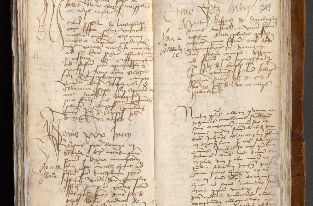 Zdjęcie nr 466 dla obiektu archiwalnego: [Acta obligationum administratorialia coram Johanne de Pniow]