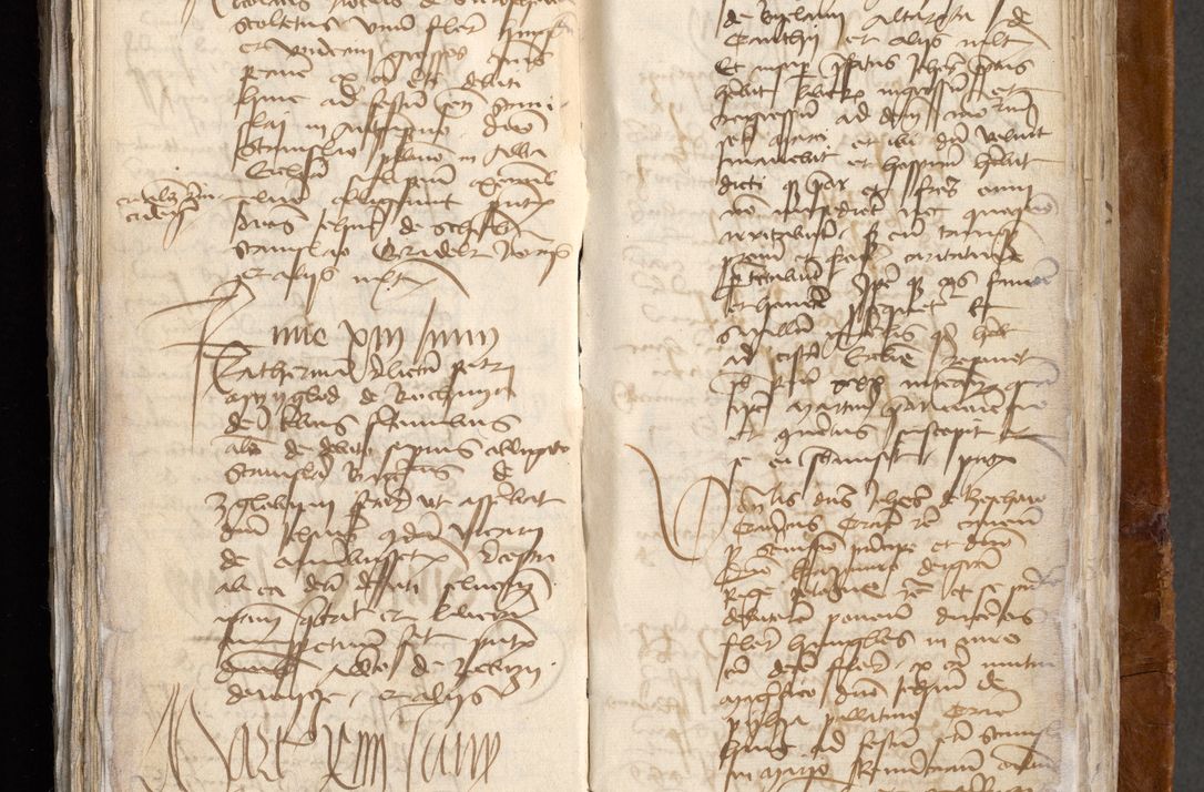 Zdjęcie nr 462 dla obiektu archiwalnego: [Acta obligationum administratorialia coram Johanne de Pniow]