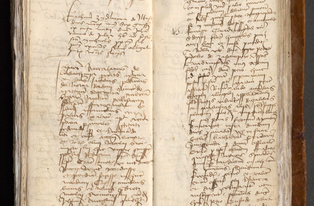 Zdjęcie nr 455 dla obiektu archiwalnego: [Acta obligationum administratorialia coram Johanne de Pniow]