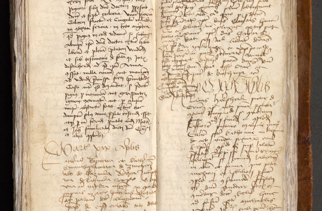 Zdjęcie nr 449 dla obiektu archiwalnego: [Acta obligationum administratorialia coram Johanne de Pniow]