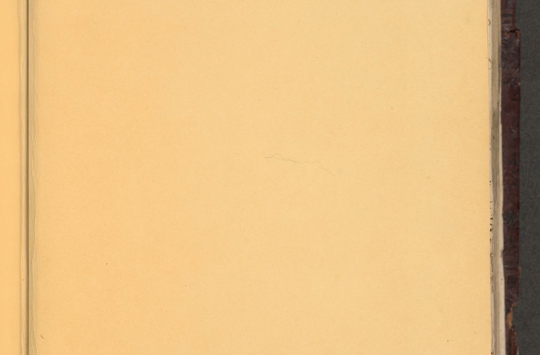 Zdjęcie nr 4 dla obiektu archiwalnego: [Acta actorum vicarialia coram Nicolao Bedlenski]