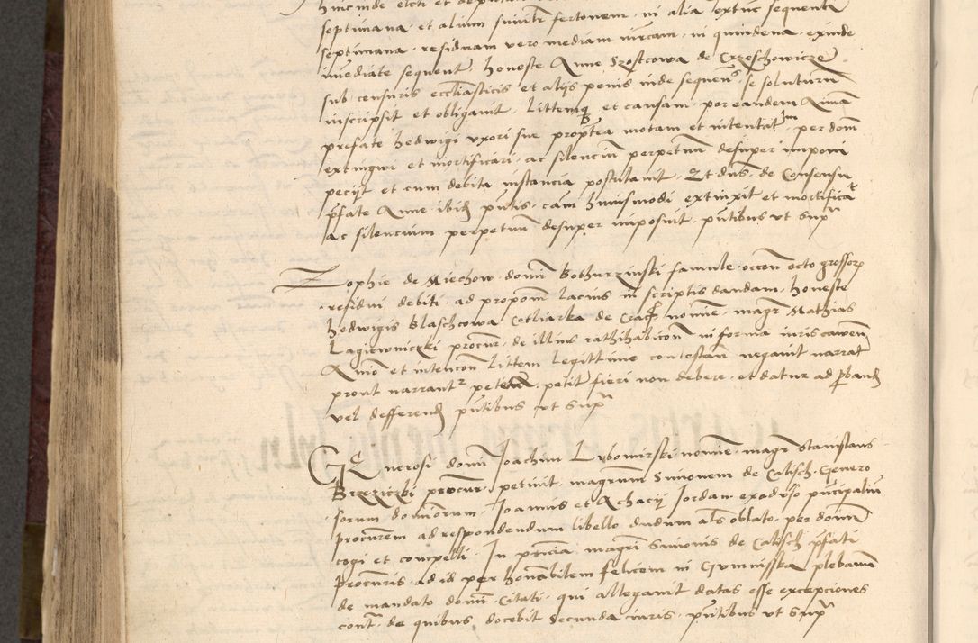 Zdjęcie nr 702 dla obiektu archiwalnego: [Acta actorum vicarialia coram Nicolao Bedlenski]