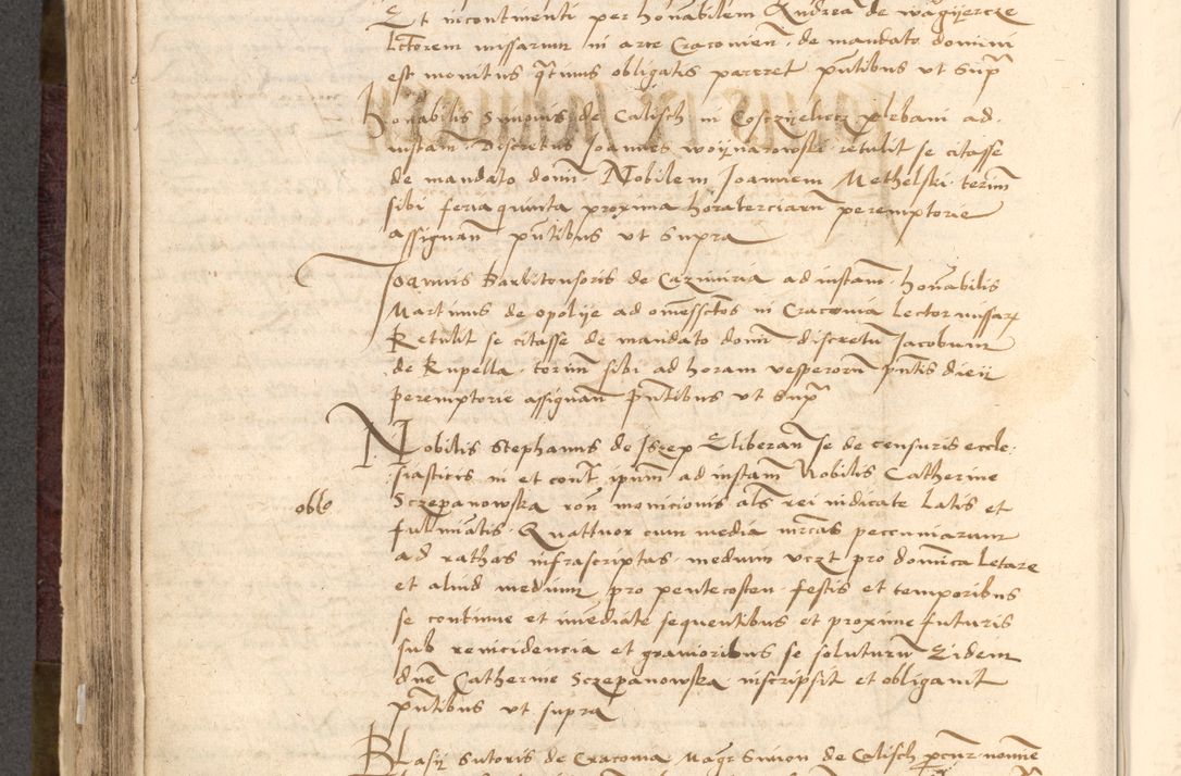 Zdjęcie nr 490 dla obiektu archiwalnego: [Acta actorum vicarialia coram Nicolao Bedlenski]