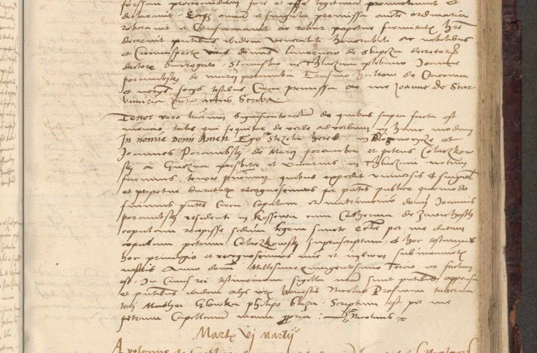 Zdjęcie nr 259 dla obiektu archiwalnego: [Acta actorum vicarialia coram Nicolao Bedlenski]