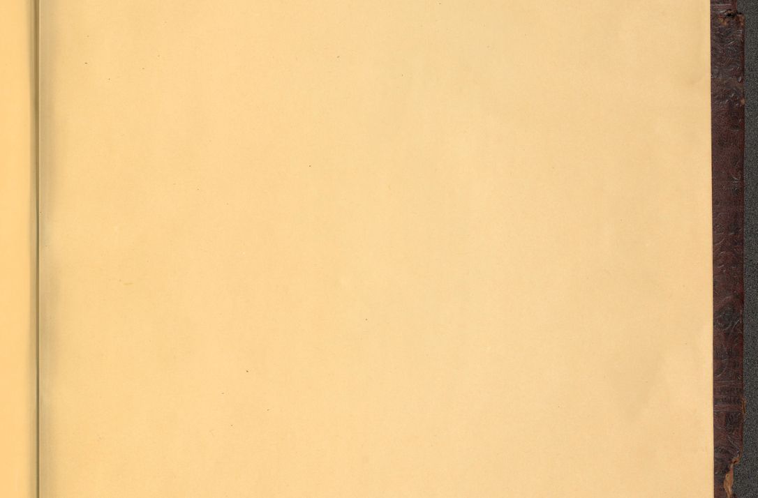 Zdjęcie nr 1247 dla obiektu archiwalnego: [Acta actorum vicarialia coram Nicolao Bedlenski]