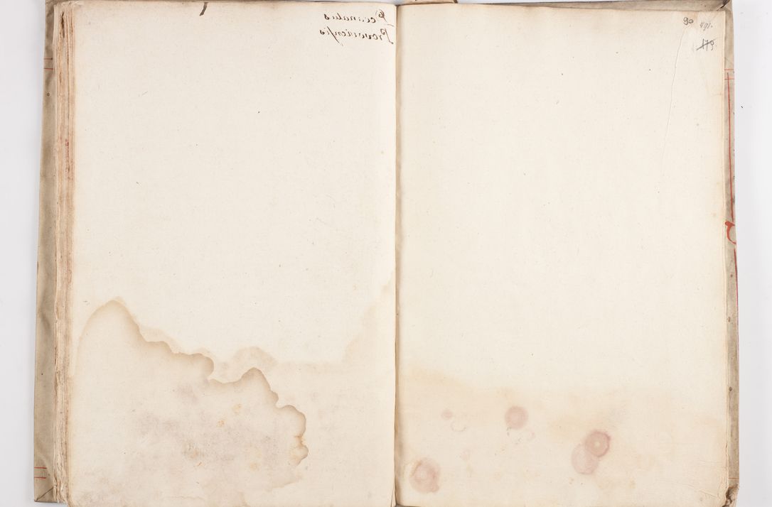Zdjęcie nr 90 dla obiektu archiwalnego: Visitatio ecclesiarum in decanatu Kielcensi, Kunoviensi et Andreoviensi per R. D. Andream Zagórny, praepositum Kielcensem a. D. 1610 peracta authoritate R. D. Petri Tylicki, episcopi Cracoviensis, ducis Severiae