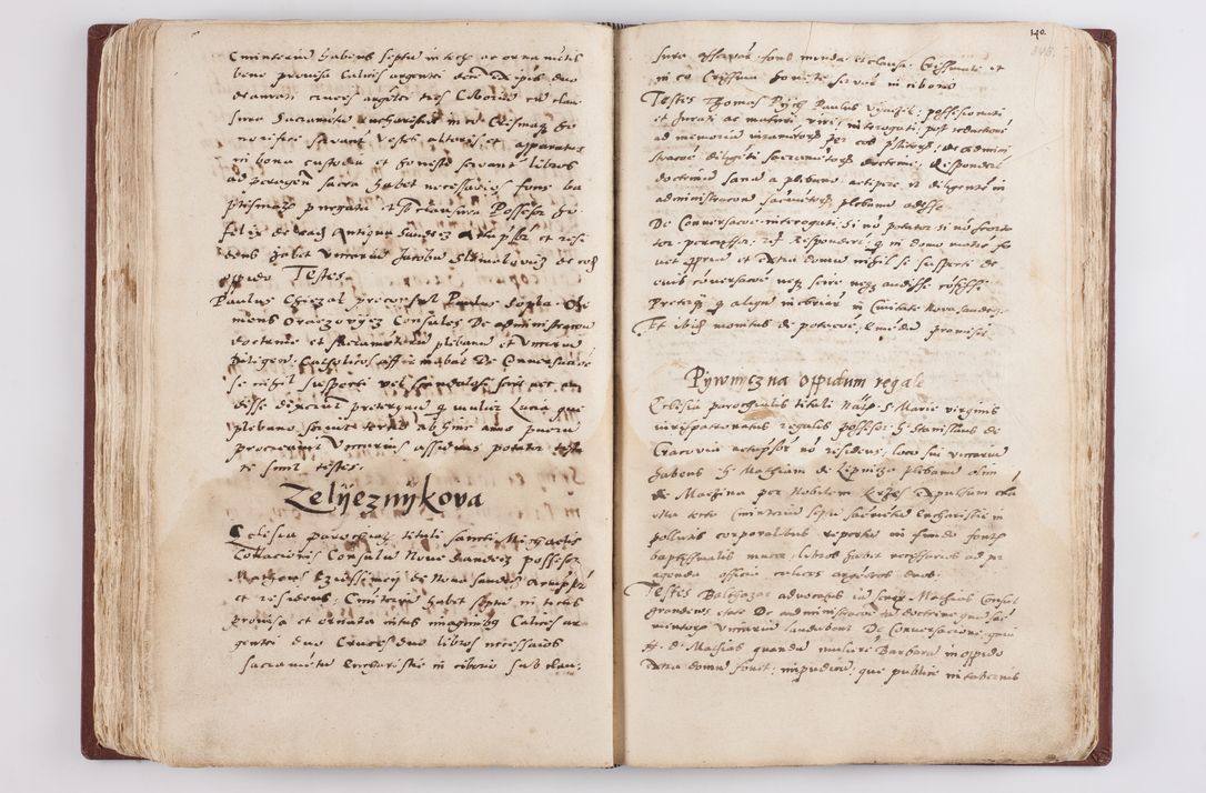 Zdjęcie nr 181 dla obiektu archiwalnego: Liber visitationis ecclesiarum in civitate ac Dioecesi Cracoviensi consistentium... Philippi Padniwski Ep. Crac. 1565.