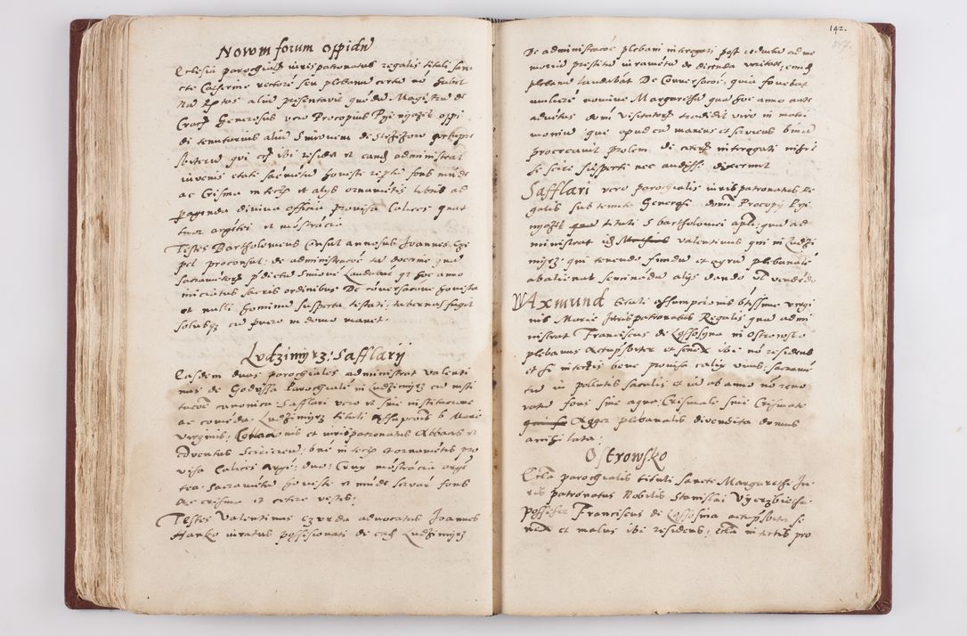 Zdjęcie nr 183 dla obiektu archiwalnego: Liber visitationis ecclesiarum in civitate ac Dioecesi Cracoviensi consistentium... Philippi Padniwski Ep. Crac. 1565.
