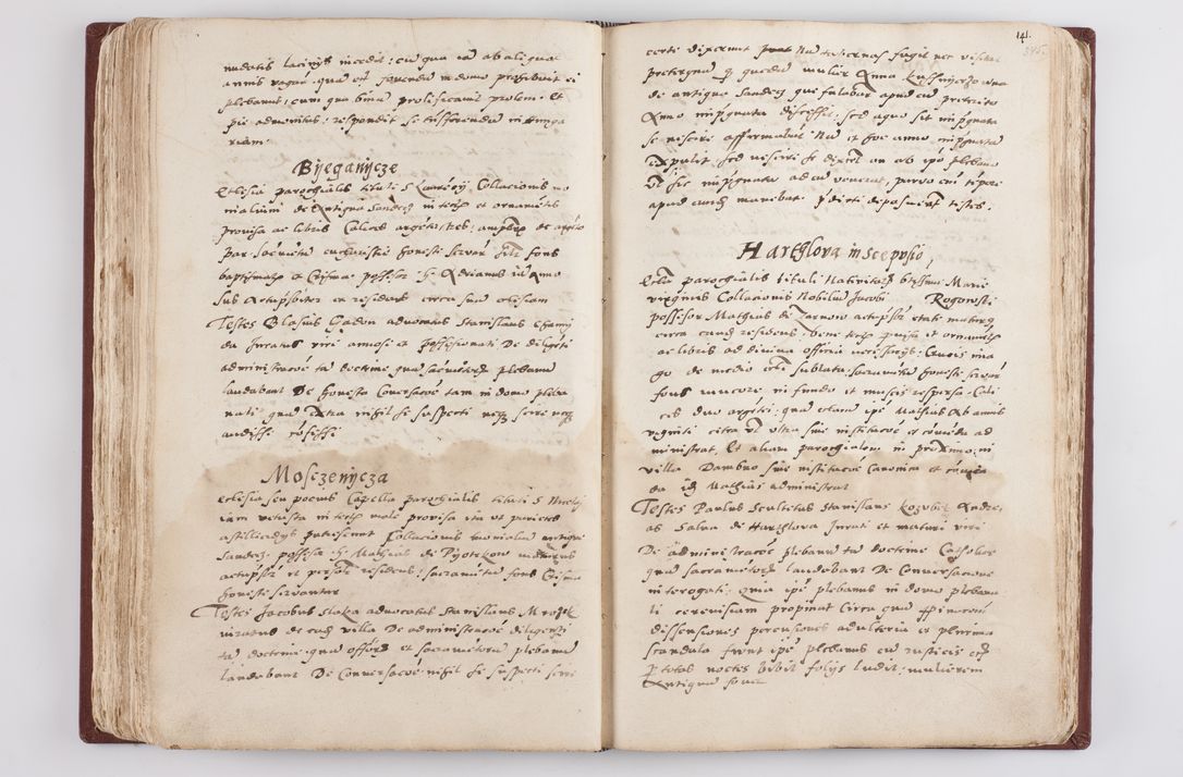 Zdjęcie nr 182 dla obiektu archiwalnego: Liber visitationis ecclesiarum in civitate ac Dioecesi Cracoviensi consistentium... Philippi Padniwski Ep. Crac. 1565.