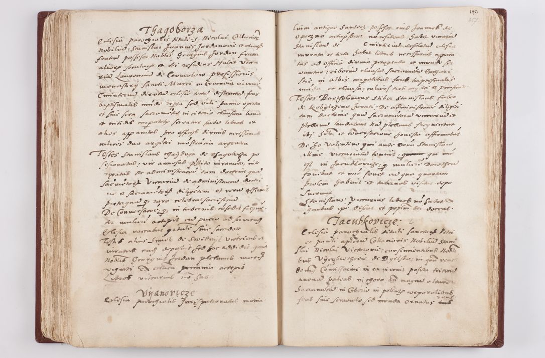 Zdjęcie nr 188 dla obiektu archiwalnego: Liber visitationis ecclesiarum in civitate ac Dioecesi Cracoviensi consistentium... Philippi Padniwski Ep. Crac. 1565.