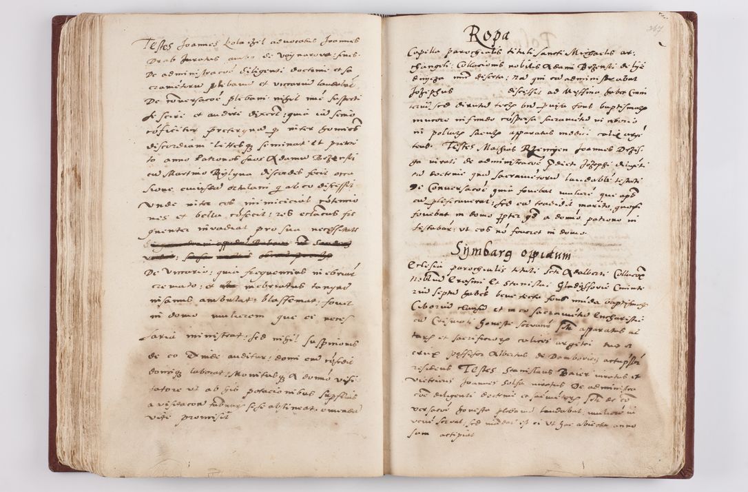 Zdjęcie nr 193 dla obiektu archiwalnego: Liber visitationis ecclesiarum in civitate ac Dioecesi Cracoviensi consistentium... Philippi Padniwski Ep. Crac. 1565.